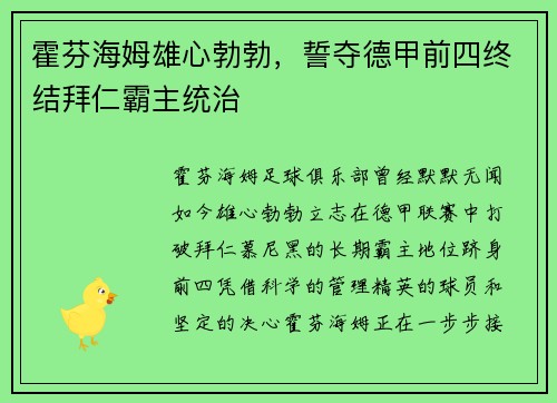 霍芬海姆雄心勃勃，誓夺德甲前四终结拜仁霸主统治